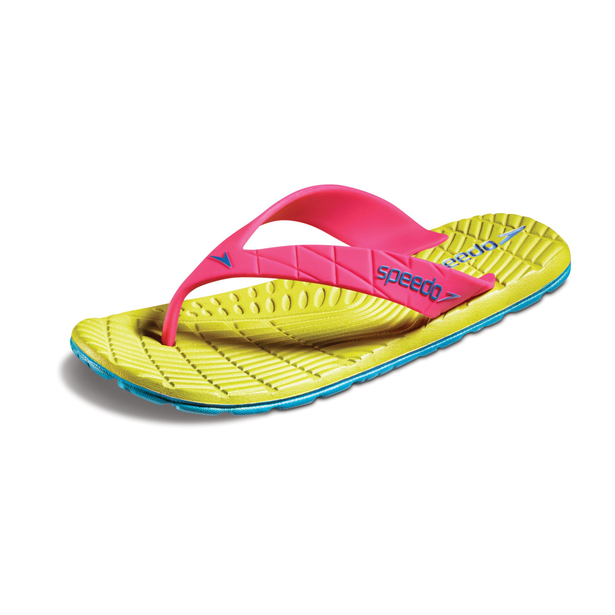 champion script slides