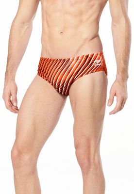 speedo 36543